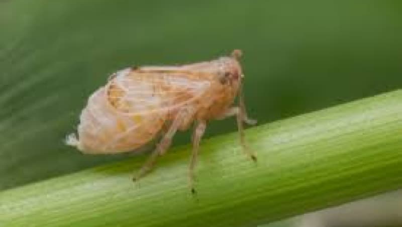 news-Start-up Lokal Raih Pendanaan Seri A untuk Aplikasi Edukasi Anak